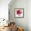 Magenta Hollylock-Judy Stalus-Framed Art Print displayed on a wall