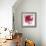 Magenta Hollylock-Judy Stalus-Framed Art Print displayed on a wall