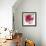 Magenta Hollylock-Judy Stalus-Framed Art Print displayed on a wall