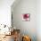 Magenta Hollylock-Judy Stalus-Mounted Art Print displayed on a wall