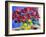 Magenta Lilies and Daffodils-Christopher Ryland-Framed Giclee Print