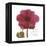 Magenta Magnolia-Albert Koetsier-Framed Stretched Canvas