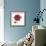 Magenta Magnolia-Albert Koetsier-Framed Premium Giclee Print displayed on a wall