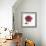 Magenta Magnolia-Albert Koetsier-Framed Premium Giclee Print displayed on a wall