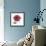 Magenta Magnolia-Albert Koetsier-Framed Premium Giclee Print displayed on a wall