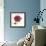 Magenta Magnolia-Albert Koetsier-Framed Premium Giclee Print displayed on a wall