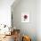 Magenta Magnolia-Albert Koetsier-Framed Premium Giclee Print displayed on a wall