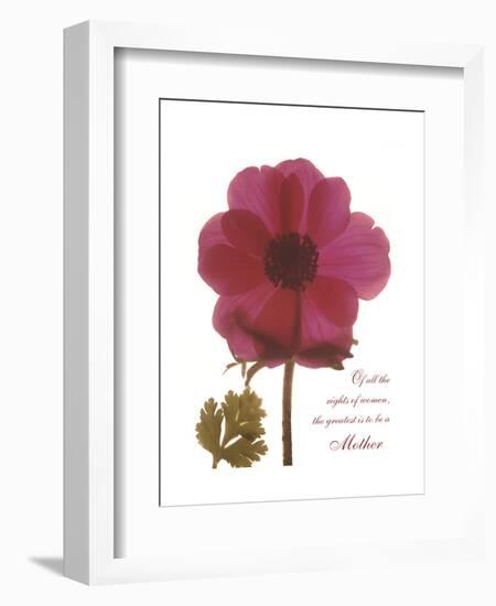 Magenta Magnolia-Albert Koetsier-Framed Premium Giclee Print