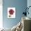 Magenta Magnolia-Albert Koetsier-Premium Giclee Print displayed on a wall