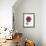 Magenta Magnolia-Albert Koetsier-Framed Premium Giclee Print displayed on a wall