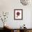 Magenta Magnolia-Albert Koetsier-Framed Premium Giclee Print displayed on a wall