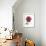 Magenta Magnolia-Albert Koetsier-Framed Premium Giclee Print displayed on a wall