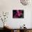 Magenta Orchid, Fiji-Dee Ann Pederson-Photographic Print displayed on a wall