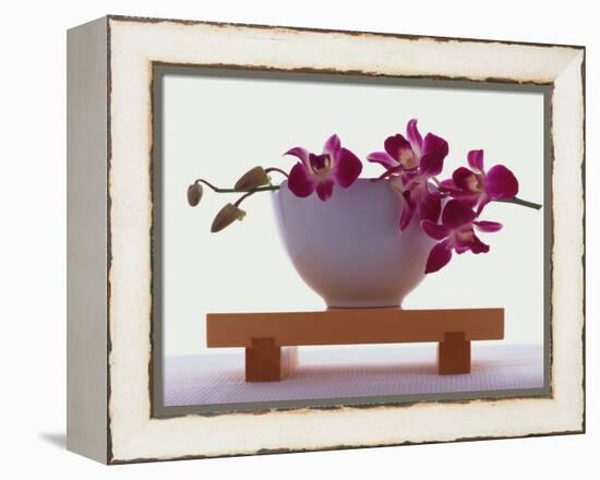 Magenta Orchids in White Bowl-Colin Anderson-Framed Premier Image Canvas