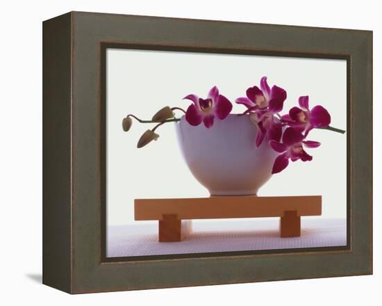 Magenta Orchids in White Bowl-Colin Anderson-Framed Premier Image Canvas