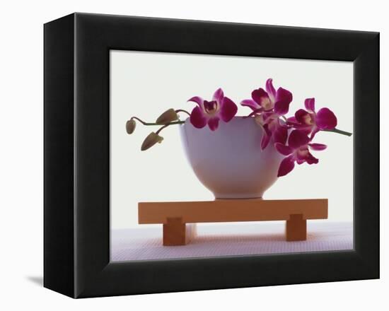 Magenta Orchids in White Bowl-Colin Anderson-Framed Premier Image Canvas
