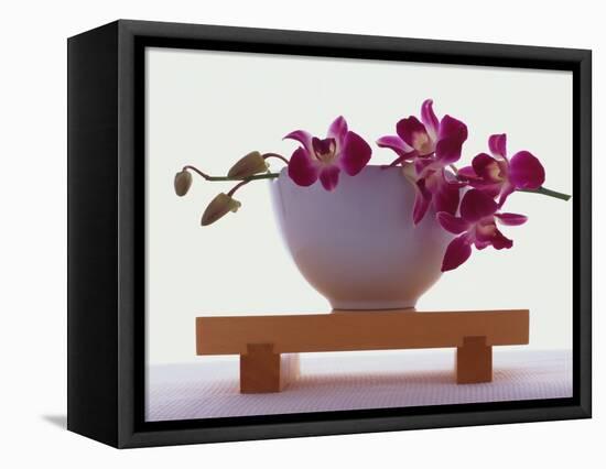 Magenta Orchids in White Bowl-Colin Anderson-Framed Premier Image Canvas