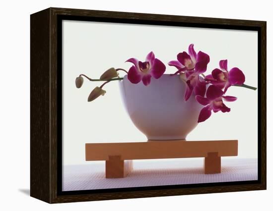 Magenta Orchids in White Bowl-Colin Anderson-Framed Premier Image Canvas