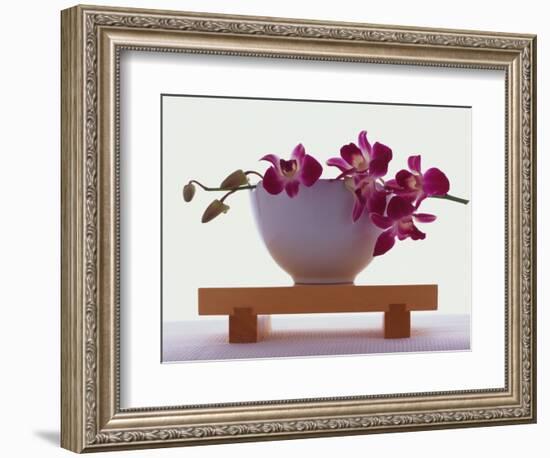 Magenta Orchids in White Bowl-Colin Anderson-Framed Photographic Print