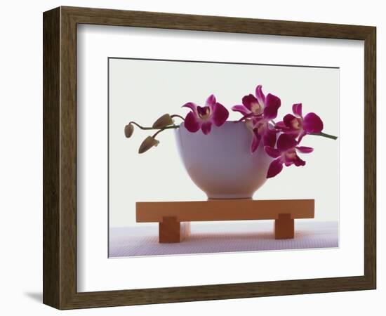 Magenta Orchids in White Bowl-Colin Anderson-Framed Photographic Print