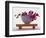 Magenta Orchids in White Bowl-Colin Anderson-Framed Photographic Print