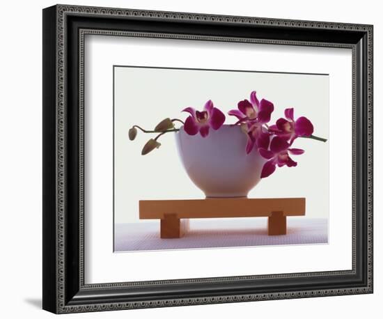 Magenta Orchids in White Bowl-Colin Anderson-Framed Photographic Print