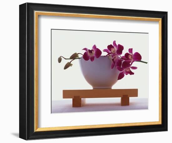 Magenta Orchids in White Bowl-Colin Anderson-Framed Photographic Print