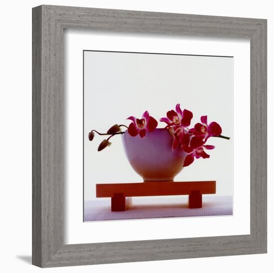 Magenta Orchids-null-Framed Art Print