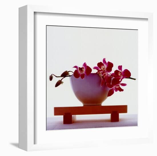 Magenta Orchids-null-Framed Art Print