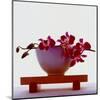 Magenta Orchids-null-Mounted Art Print