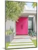 Magenta Pink Doors-Tom Windeknecht-Mounted Photographic Print