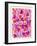 Magenta Wanderlust-Cat Coquillette-Framed Giclee Print