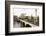 Magere Brug (The Skinny Bridge), Amsterdam, Netherlands, Europe-Amanda Hall-Framed Photographic Print