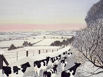 Friesians in Winter-Maggie Rowe-Giclee Print
