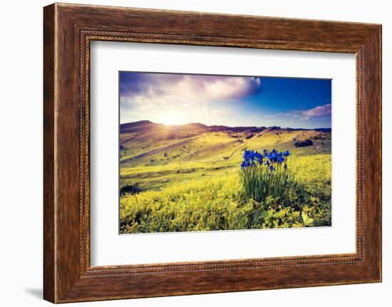 Magic Flowers in Mountain Landscape with Dramatic Overcast Sky. Carpathian, Ukraine, Europe. Beauty-Leonid Tit-Framed Photographic Print