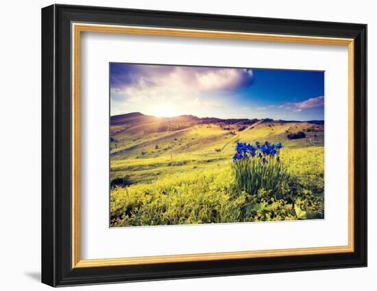 Magic Flowers in Mountain Landscape with Dramatic Overcast Sky. Carpathian, Ukraine, Europe. Beauty-Leonid Tit-Framed Photographic Print