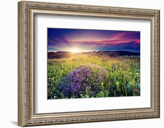 Magic Flowers in Mountain Landscape with Dramatic Overcast Sky. Carpathian, Ukraine, Europe. Beauty-Leonid Tit-Framed Photographic Print