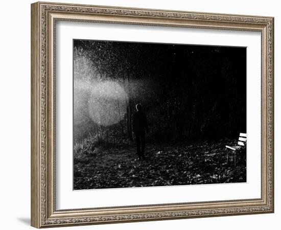 Magic in the Woods-Sharon Wish-Framed Photographic Print