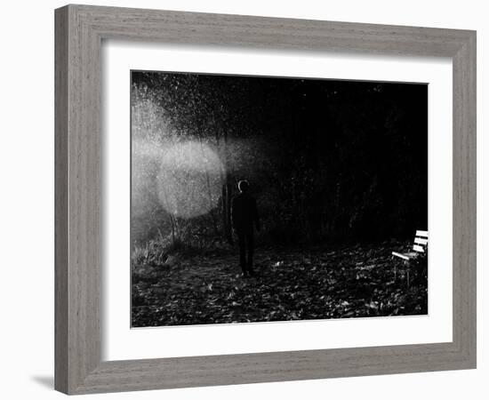 Magic in the Woods-Sharon Wish-Framed Photographic Print