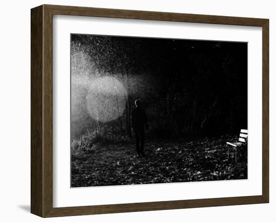 Magic in the Woods-Sharon Wish-Framed Photographic Print