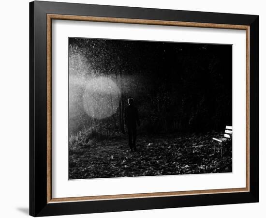 Magic in the Woods-Sharon Wish-Framed Photographic Print