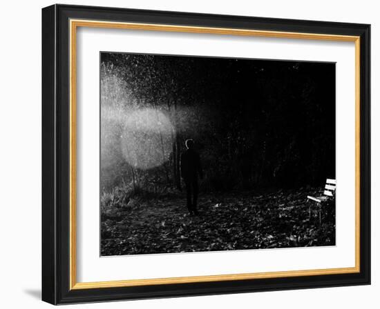 Magic in the Woods-Sharon Wish-Framed Photographic Print