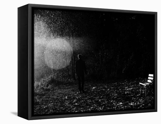 Magic in the Woods-Sharon Wish-Framed Premier Image Canvas