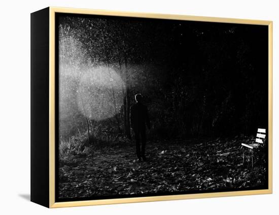 Magic in the Woods-Sharon Wish-Framed Premier Image Canvas