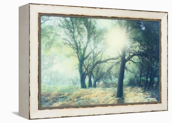 Magic Light-Viviane Fedieu Daniel-Framed Premier Image Canvas