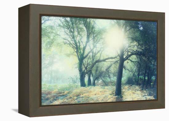 Magic Light-Viviane Fedieu Daniel-Framed Premier Image Canvas