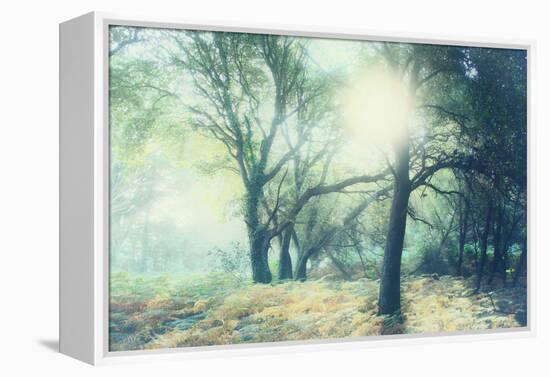 Magic Light-Viviane Fedieu Daniel-Framed Premier Image Canvas