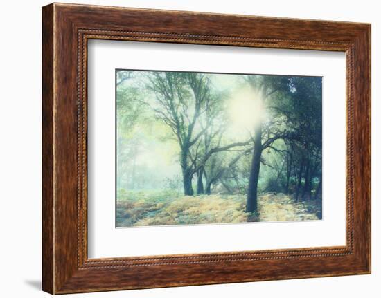 Magic Light-Viviane Fedieu Daniel-Framed Photographic Print