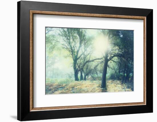 Magic Light-Viviane Fedieu Daniel-Framed Photographic Print