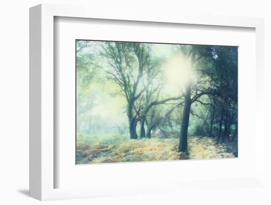 Magic Light-Viviane Fedieu Daniel-Framed Photographic Print